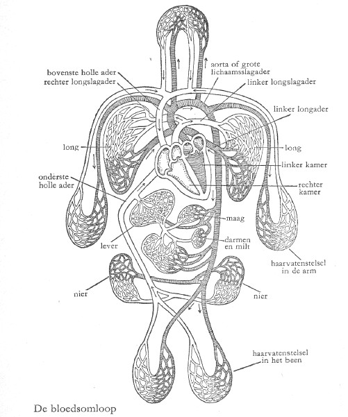 p 116